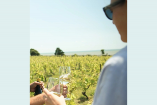 Atelier : assemblez votre propre vin