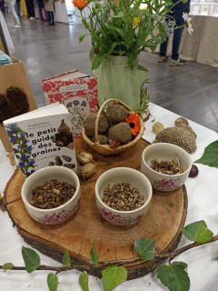 Atelier bombes à graines