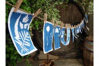Cyanotype workshop