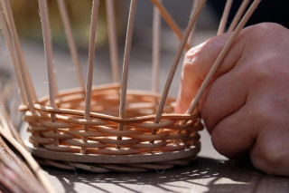 Atelier découverte et formation vannerie