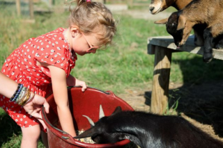 Atelier enfant : nourrissage des animaux à l'Éco-Domaine