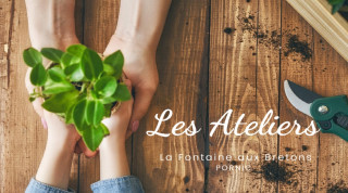 ATELIER: GREFFES ET BOUTURES PORNIC