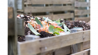 Atelier : le compostage, comment ça marche ?