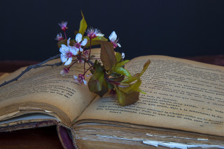 Atelier - pause lecture