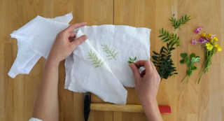 Atelier teinture végétale  Pornic