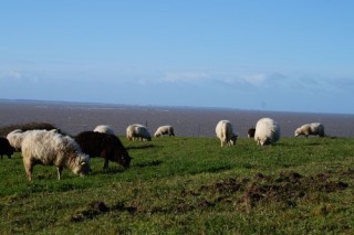 Balade autour de la Fontaine aux Moutons