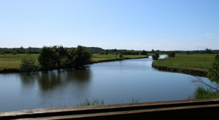 Balade en Toue sur l'Acheneau, bateau traditionnel de la Loire
