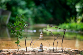 Balade méditative au jardin partagé de Bourgneuf