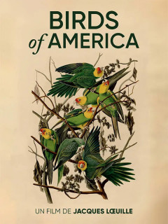 birds-of-america-12-mars-56948