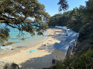 Cap sur Noirmoutier: entre paysages et charme insulaire