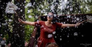 casseroles-2024-48264