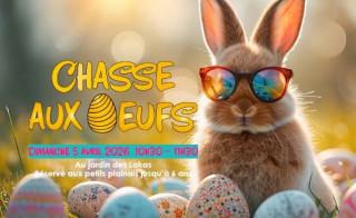 Chasse aux œufs
