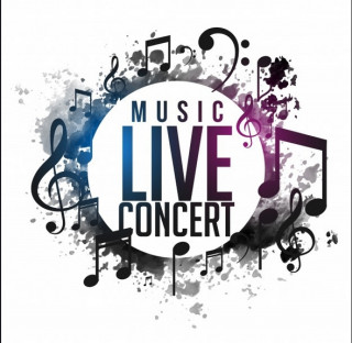 Concert de Aly Malice au Bar le phare pornic