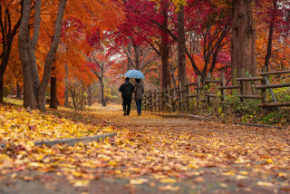 Marché d'automne
