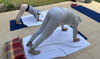 Cours de yoga parents-enfants