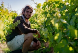 DÉCOUVERTE DE LA CULTURE DE LA VIGNE PORNIC