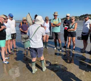 Découverte de la pêche à pied Du 21 juin au 17 sept 2024