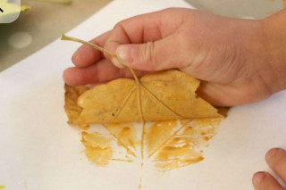 Atelier manuel : création peinture végétale