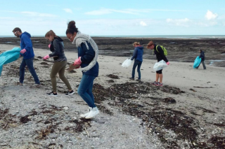 La vie secrète de nos plages