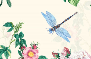 Invitation au jardin : atelier papier
