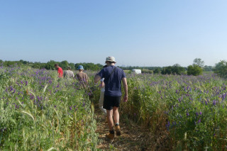 Balade contée gourmande