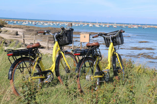 Échappée nature: Découverte de la Côte de Jade à vélo électrique