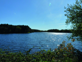 Balade contée à l'étang des gâtineaux