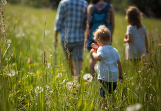 Explore la biodiversité au jardin en famille