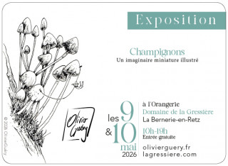 expo-banniereweb-59036