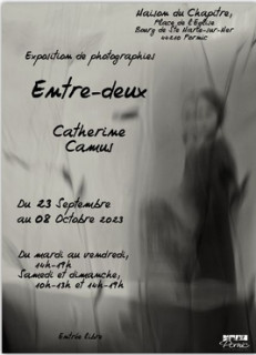 EXPOSITION: ENTRE-DEUX PORNIC