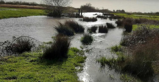 EXPOSITION: MARAIS DE LA LOIRE AU MARAIS BRETON PORNIC