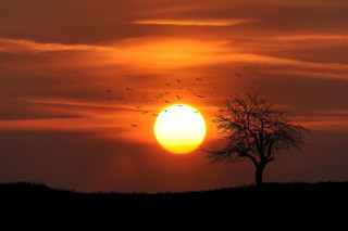 Exposition peintures - Coucher de soleil