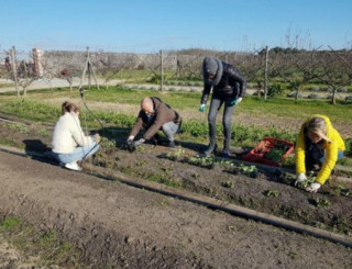 FAIRE UN POTAGER AVEC LE MINIMUM D'ENTRETIEN  PORNIC
