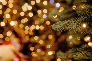 festive-christmas-tree-with-warm-bokeh-lights-nguy-n-ti-n-th-nh-de-pexels-63923