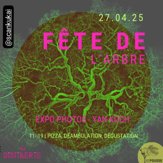 Fête de l'arbre
