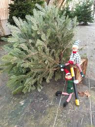 Fêtons Noël ensemble