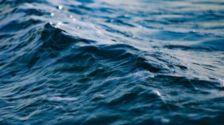 Forum de la mer Pornic