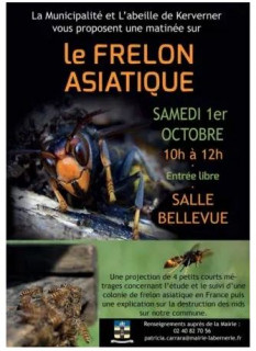 frelons-39066