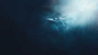 gabriel-dizzi-wpxxp36tkhq-unsplash-54185