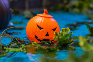 Halloween à l'Aquacentre pornic
