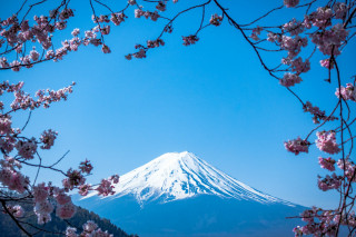 Atelier de Tataki Zomé
