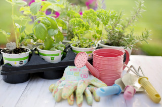 Journée au jardin à la ferme écofolies