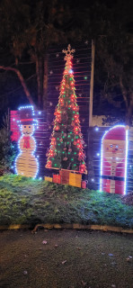 Lancement des illuminations de Noël de Saint Michel Chef Chef