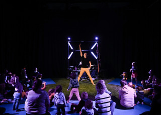 LE DISCO DES OISEAUX PORNIC