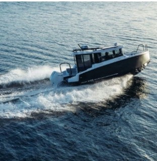 LES AILES BLEUES AUTREMENT PORNIC