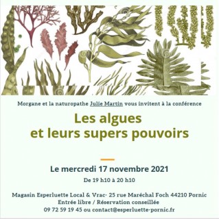 les-algues-17-novembre-35709