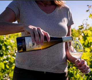 LES APÉRITIFS OENOLOGIQUES PORNIC