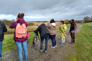 Les oiseaux des étangs