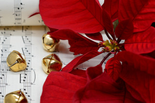 Noëls traditionnels