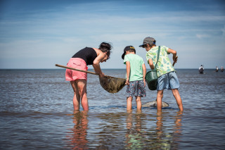 Pêche à la crevette